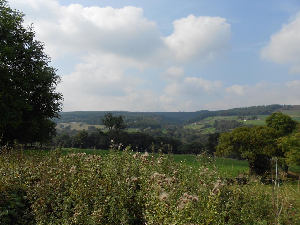 The Shady Oak B&B Whaley Bridge Eksteriør bilde