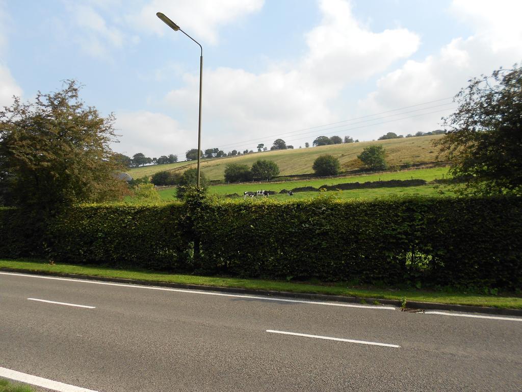 The Shady Oak B&B Whaley Bridge Eksteriør bilde