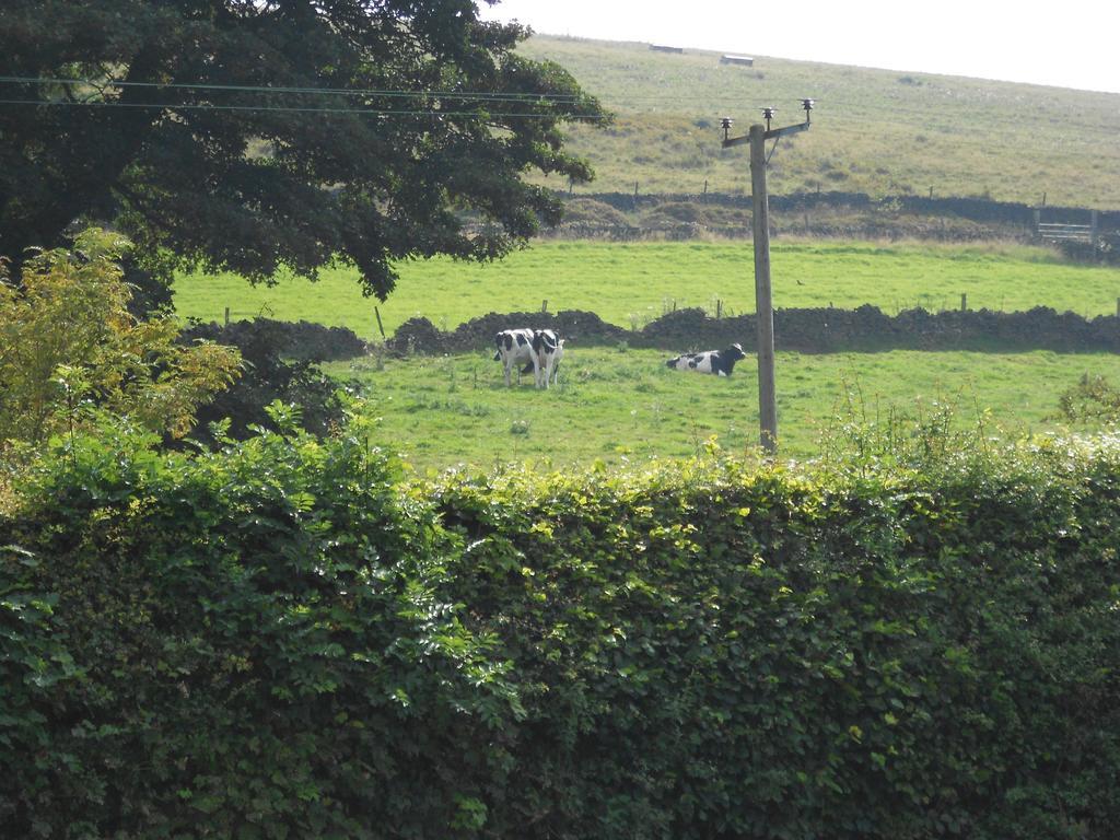 The Shady Oak B&B Whaley Bridge Eksteriør bilde